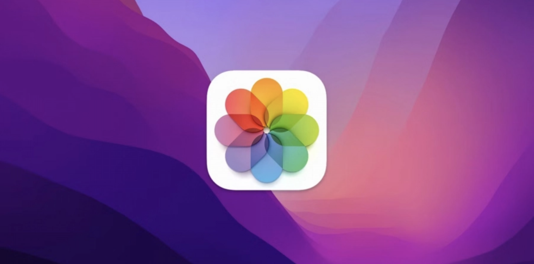 Screen Shot 2022-07-12 at 13.57.59